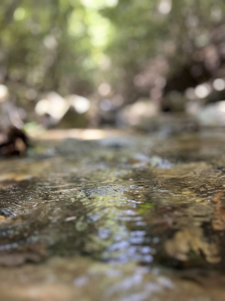 IMG_4607