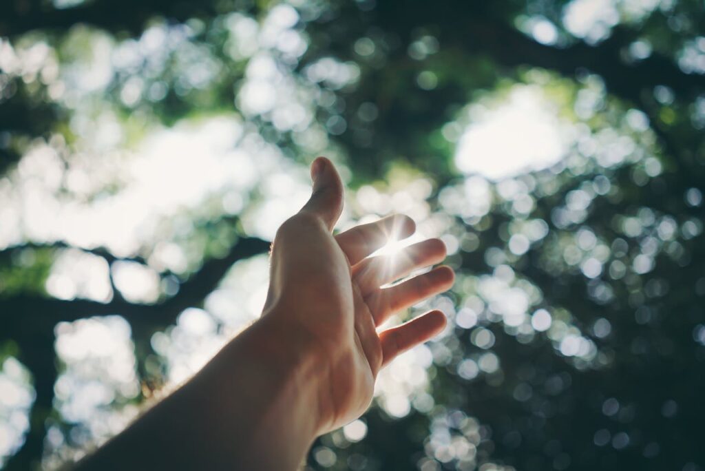 pexels-photo-1654698 A hand reaching towards the sky, capturing sunlight in a lush forest setting.